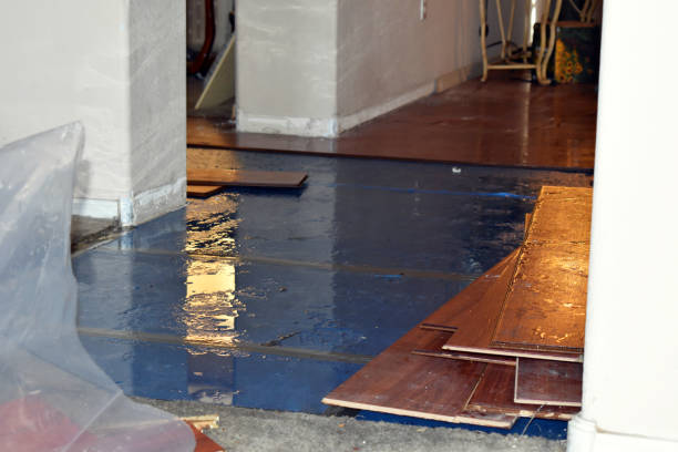 Professional Basement Water Removal technician working in Grandview, OK